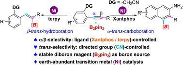 Graphical abstract: Ligand-controlled regiodivergent Ni-catalyzed trans-hydroboration/carboboration of internal alkynes with B2pin2