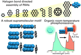 Graphical abstract: Halogen bonding with carbon: directional assembly of non-derivatised aromatic carbon systems into robust supramolecular ladder architectures