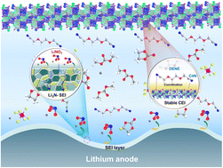 Graphical abstract: High-voltage lithium-metal batteries enabled by ethylene glycol bis(propionitrile) ether-LiNO3 synergetic additives