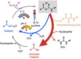 Graphical abstract: Suppressing catalyst poisoning in the carbodiimide-fueled reaction cycle
