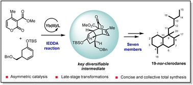Graphical abstract: Enantioselective and collective total synthesis of pentacyclic 19-nor-clerodanes
