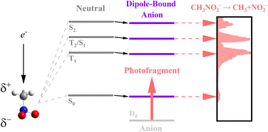 Graphical abstract: Excited-state chemistry of the nitromethane anion mediated by the dipole-bound states revealed by photofragment action spectroscopy