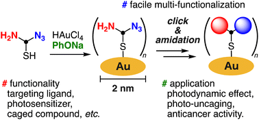 Graphical abstract: Clickable bisreactive small gold nanoclusters for preparing multifunctionalized nanomaterials: application to photouncaging of an anticancer molecule