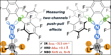 Graphical abstract: An orbitally adapted push–pull template for N2 activation and reduction to diazene-diide