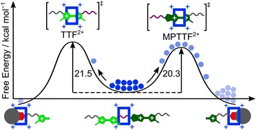 Graphical abstract: Mechanistic studies of isomeric [2]rotaxanes consisting of two different tetrathiafulvalene units reveal that the movement of cyclobis(paraquat-p-phenylene) can be controlled