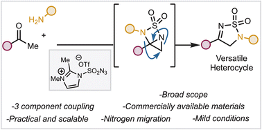 Graphical abstract: Convergent synthesis of thiodiazole dioxides from simple ketones and amines through an unusual nitrogen-migration mechanism