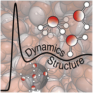 Graphical abstract: A structure–dynamics relationship enables prediction of the water hydrogen bond exchange activation energy from experimental data