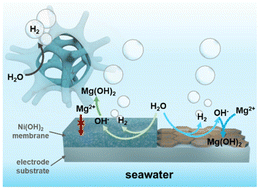 Graphical abstract: Ion sieving membrane for direct seawater anti-precipitation hydrogen evolution reaction electrode