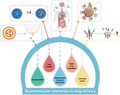 Graphical abstract: Supramolecular interaction in the action of drug delivery systems
