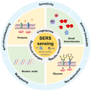 Graphical abstract: Surface-enhanced Raman scattering sensing for detection and mapping of key cellular biomarkers