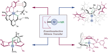 Graphical abstract: Catalytic, asymmetric carbon–nitrogen bond formation using metal nitrenoids: from metal–ligand complexes via metalloporphyrins to enzymes
