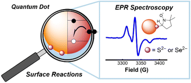 Graphical abstract: EPR spin trapping of nucleophilic and radical reactions at colloidal metal chalcogenide quantum dot surfaces