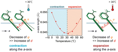 Graphical abstract: Negative to positive axial thermal expansion switching of an organic crystal: contribution to multistep photoactuation