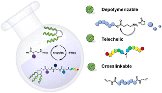 Graphical abstract: Telechelic sequence-defined oligoamides: their step-economical synthesis, depolymerization and use in polymer networks