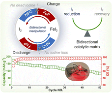 Graphical abstract: Bidirectional manipulation of iodine redox kinetics in aqueous Fe–I2 electrochemistry