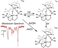 Graphical abstract: Accessing a synthetic FeIIIMnIV core to model biological heterobimetallic active sites