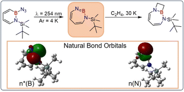 Graphical abstract: Strain induced reactivity of cyclic iminoboranes: the (2 + 2) cycloaddition of a 1H-1,3,2-diazaborepine with ethene