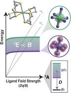 Graphical abstract: Ligand field design enables quantum manipulation of spins in Ni2+ complexes