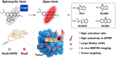 Graphical abstract: Xanthene-based near-infrared chromophores for high-contrast fluorescence and photoacoustic imaging of dipeptidyl peptidase 4