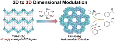 Graphical abstract: Promoting the formation of metal–carboxylate coordination to modulate the dimensionality of ultrastable lead halide hybrids