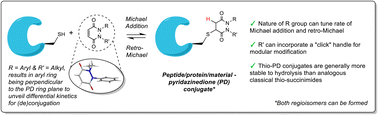 Graphical abstract: Use of pyridazinediones for tuneable and reversible covalent cysteine modification applied to peptides, proteins and hydrogels