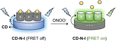 Graphical abstract: Selective FRET nano probe based on carbon dots and naphthalimide–isatin for the ratiometric detection of peroxynitrite in drug-induced liver injury