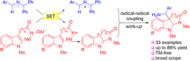 Graphical abstract: Efficient construction of functionalized pyrroloindolines through cascade radical cyclization/intermolecular coupling