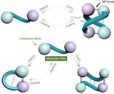 Graphical abstract: Selective chiral dimerization and folding driven by arene–perfluoroarene force