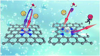 Graphical abstract: The role of nitrogen sources and hydrogen adsorption on the dynamic stability of Fe–N–C catalysts in oxygen reduction reaction