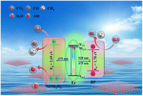 Graphical abstract: Study on synergistic effects of 4f levels of erbium and black phosphorus/SnNb2O6 heterostructure catalysts by multiple spectroscopic analysis techniques