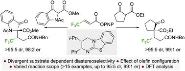 Graphical abstract: Understanding divergent substrate stereoselectivity in the isothiourea-catalysed conjugate addition of cyclic α-substituted β-ketoesters to α,β-unsaturated aryl esters