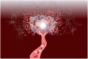 Graphical abstract: Package delivered: folate receptor-mediated transporters in cancer therapy and diagnosis