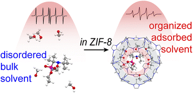 Graphical abstract: Nanoscale solvent organization in metal–organic framework ZIF-8 probed by EPR of flexible β-phosphorylated nitroxides