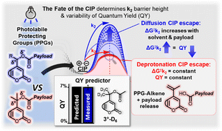 Graphical abstract: The fate of the contact ion pair determines the photochemistry of coumarin-based photocleavable protecting groups