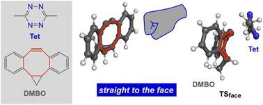 Graphical abstract: How cycloalkane fusion enhances the cycloaddition reactivity of dibenzocyclooctynes