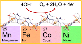 Graphical abstract: Harnessing the electronic structure of active metals to lower the overpotential of the electrocatalytic oxygen evolution reaction