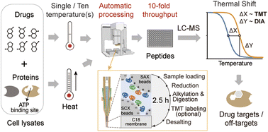 Graphical abstract: High-throughput drug target discovery using a fully automated proteomics sample preparation platform