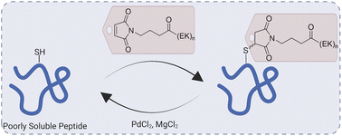 Graphical abstract: A cysteine-specific solubilizing tag strategy enables efficient chemical protein synthesis of difficult targets