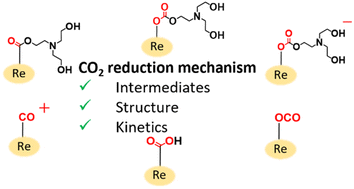 Graphical abstract: Overall reaction mechanism of photocatalytic CO2 reduction on a Re(i)-complex catalyst unit of a Ru(ii)–Re(i) supramolecular photocatalyst