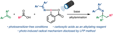 Graphical abstract: Photoexcitation of (diarylmethylene)amino benziodoxolones for alkylamination of styrene derivatives with carboxylic acids
