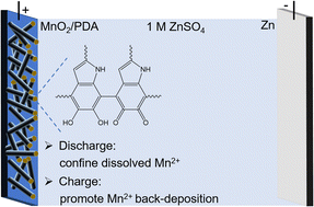 Graphical abstract: A polydopamine coating enabling the stable cycling of MnO2 cathode materials in aqueous zinc batteries