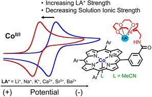 Graphical abstract: Long-range electrostatic effects from intramolecular Lewis acid binding influence the redox properties of cobalt–porphyrin complexes