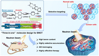 Graphical abstract: Molecular engineering of AIE-active boron clustoluminogens for enhanced boron neutron capture therapy