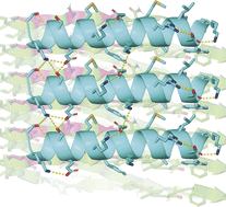 Graphical abstract: De novo design of peptides that bind specific conformers of α-synuclein