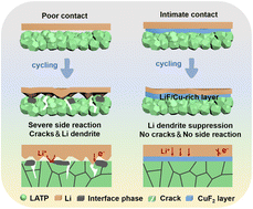 Graphical abstract: Stabilizing a Li1.3Al0.3Ti1.7(PO4)3/Li metal anode interface in solid-state batteries with a LiF/Cu-rich multifunctional interlayer