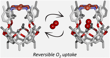 Graphical abstract: Reversible dioxygen uptake at [Cu4] clusters