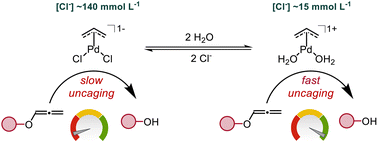 Graphical abstract: Interplay of chloride levels and palladium(ii)-catalyzed O-deallenylation bioorthogonal uncaging reactions