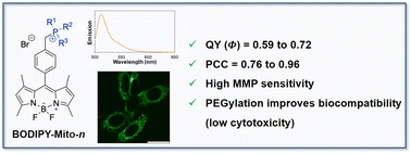 Graphical abstract: Mitochondria-targeting biocompatible fluorescent BODIPY probes