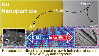 Graphical abstract: Nanoparticle-directed bimodal crystallization of the quasi-1D van der Waals phase, Bi4I4