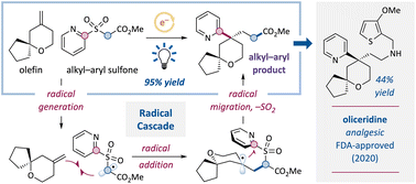 Graphical abstract: A free-radical design featuring an intramolecular migration for a synthetically versatile alkyl–(hetero)arylation of simple olefins